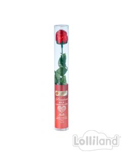 Milk Choc Rose Cylinder 18G